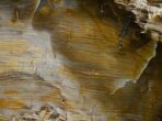 Small Sequoia Petrified Wood Bookends - Oregon #4488-3